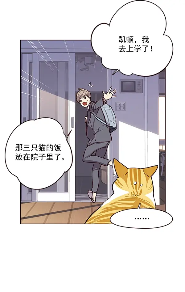 漫画《觉醒吧，铲屎官！》第9话第19张图