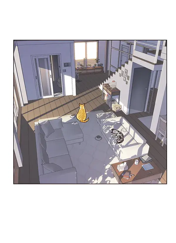 漫画《觉醒吧，铲屎官！》第9话第20张图