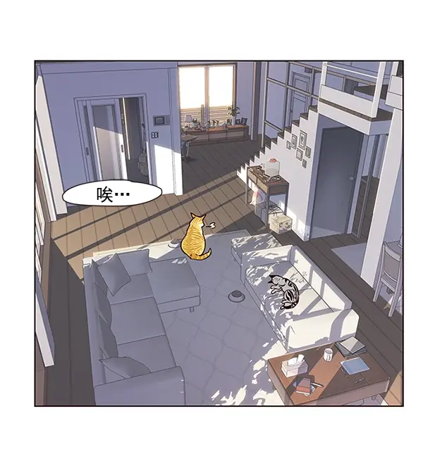 漫画《觉醒吧，铲屎官！》第9话第21张图