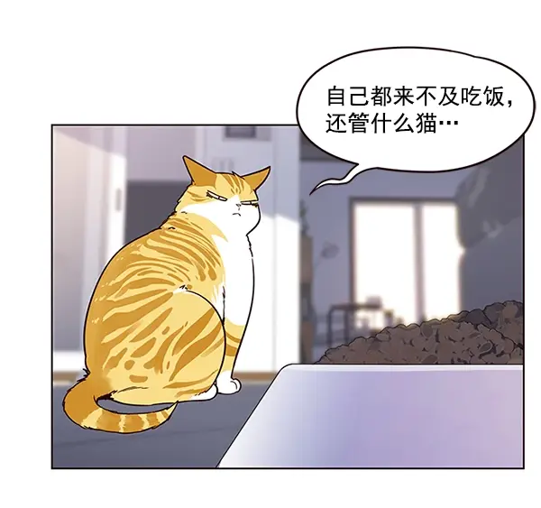 漫画《觉醒吧，铲屎官！》第9话第22张图