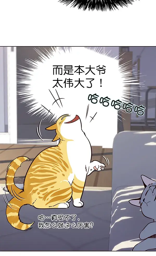 漫画《觉醒吧，铲屎官！》第9话第31张图