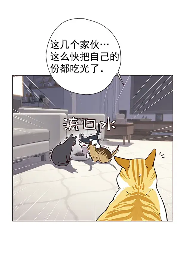 漫画《觉醒吧，铲屎官！》第9话第34张图