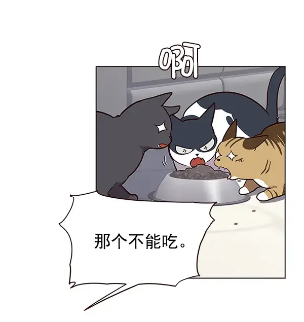 漫画《觉醒吧，铲屎官！》第9话第35张图