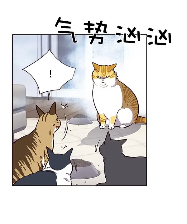 漫画《觉醒吧，铲屎官！》第9话第36张图