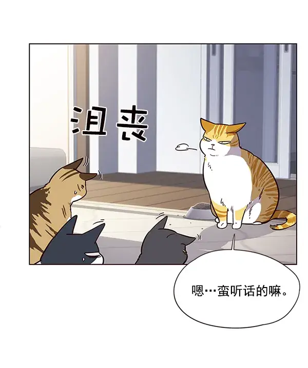漫画《觉醒吧，铲屎官！》第9话第37张图