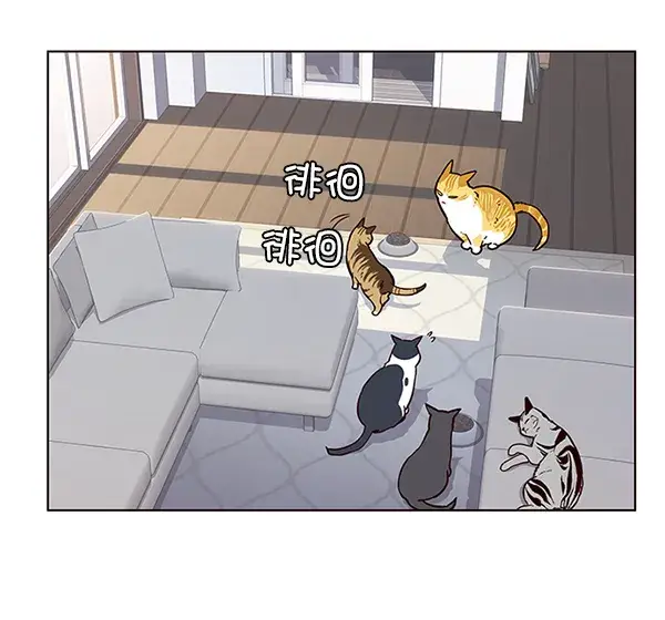 漫画《觉醒吧，铲屎官！》第9话第38张图