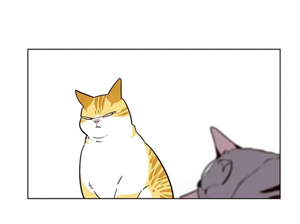 漫画《觉醒吧，铲屎官！》第9话第39张图