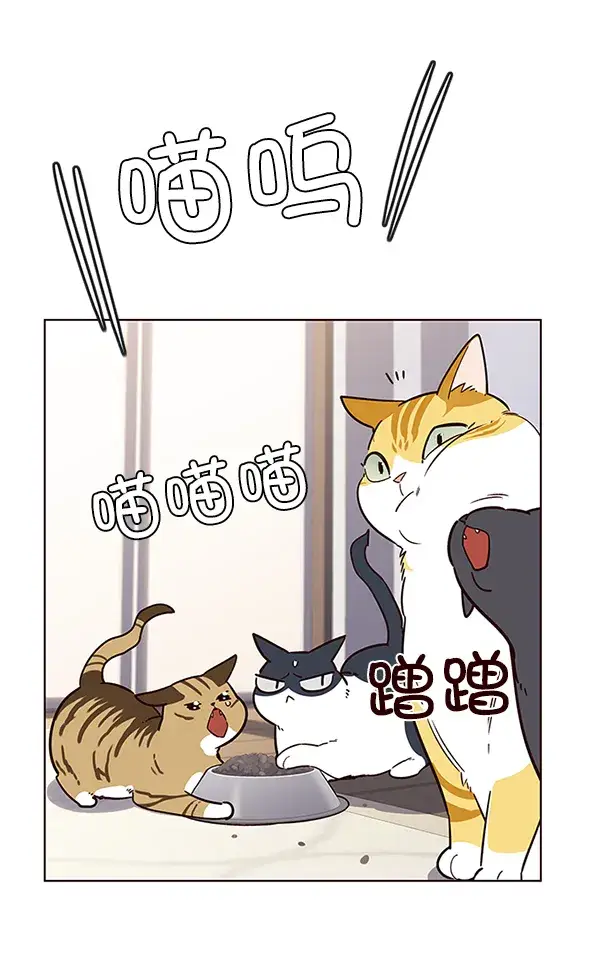 漫画《觉醒吧，铲屎官！》第9话第41张图