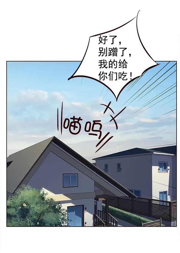 漫画《觉醒吧，铲屎官！》第9话第43张图