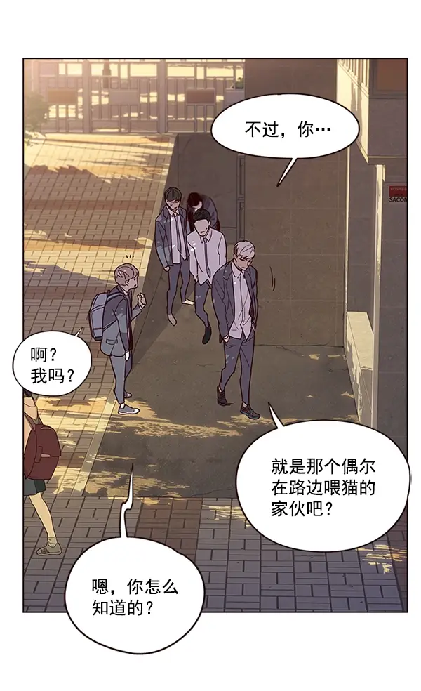 漫画《觉醒吧，铲屎官！》第9话第87张图