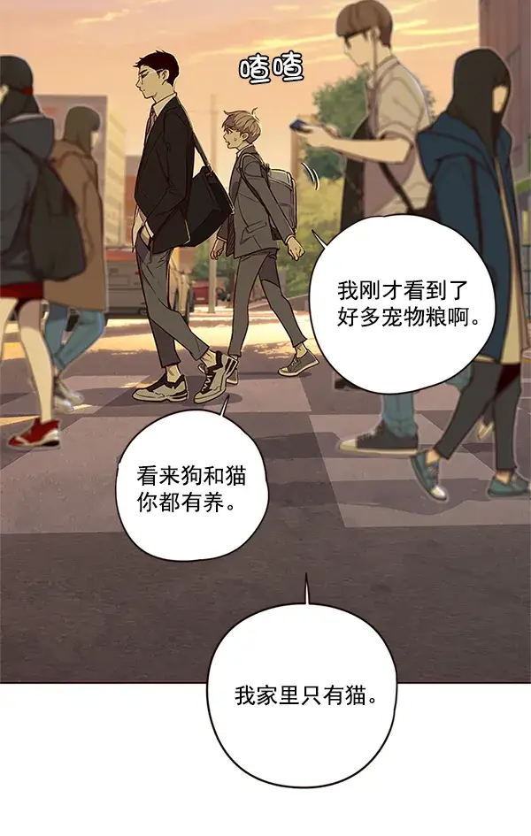 漫画《觉醒吧，铲屎官！》第9话第95张图