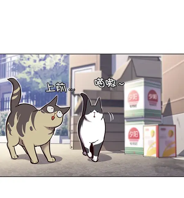 漫画《觉醒吧，铲屎官！》第117话第12张图