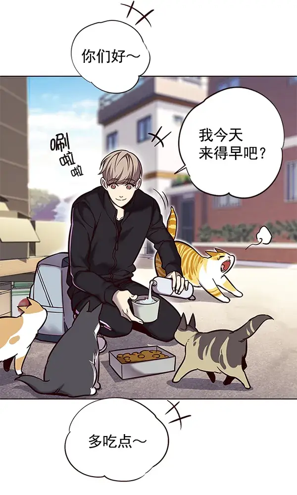 漫画《觉醒吧，铲屎官！》第117话第13张图