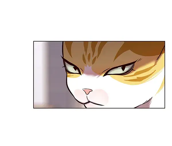 漫画《觉醒吧，铲屎官！》第117话第23张图