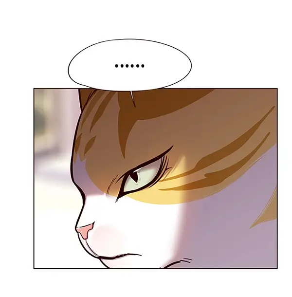 漫画《觉醒吧，铲屎官！》第117话第27张图