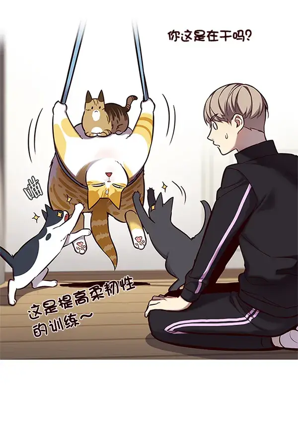 漫画《觉醒吧，铲屎官！》第118话第12张图