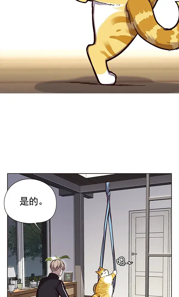 漫画《觉醒吧，铲屎官！》第118话第7张图