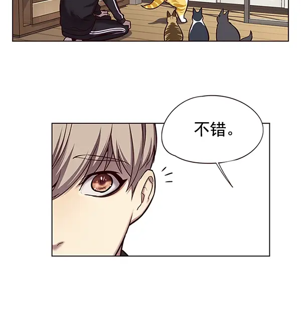 漫画《觉醒吧，铲屎官！》第118话第8张图