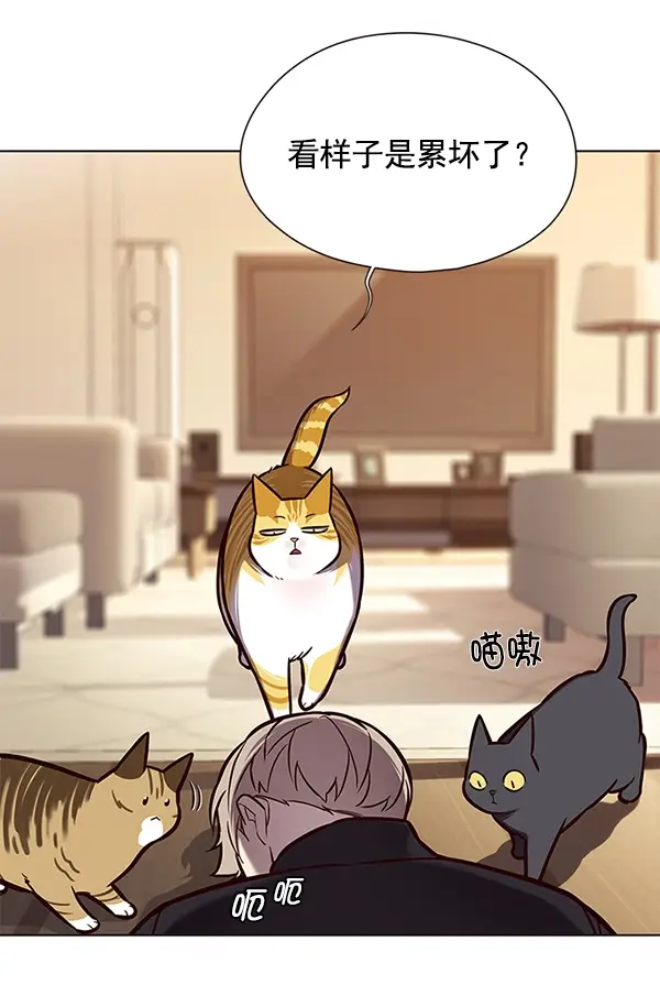 漫画《觉醒吧，铲屎官！》第118话第81张图