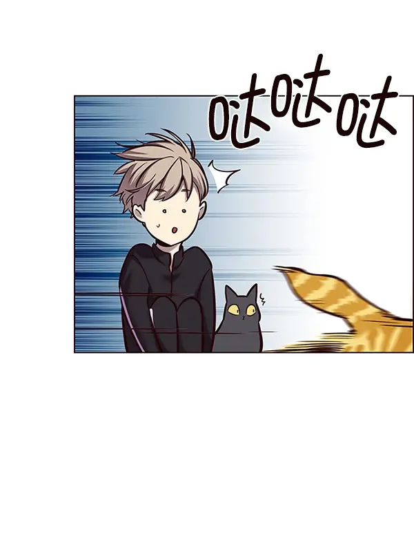 漫画《觉醒吧，铲屎官！》第119话第12张图