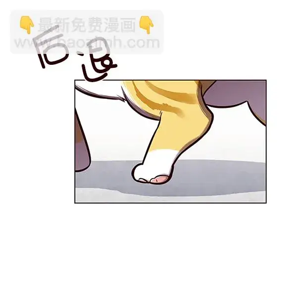 漫画《觉醒吧，铲屎官！》第119话第93张图