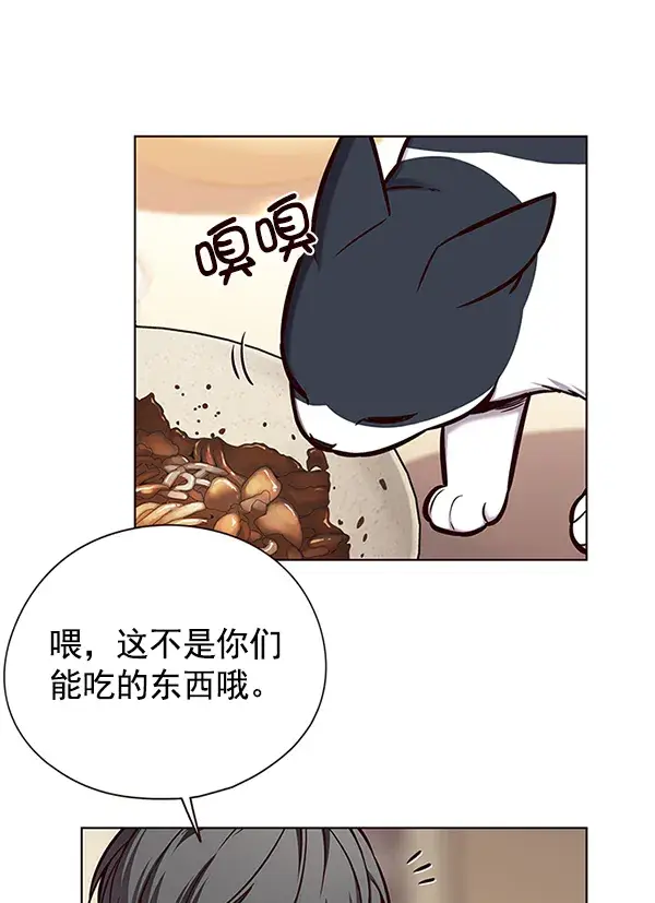 漫画《觉醒吧，铲屎官！》第123话第37张图