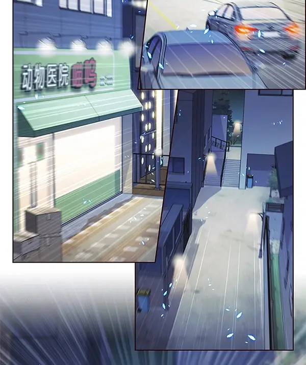 漫画《觉醒吧，铲屎官！》第126话第88张图