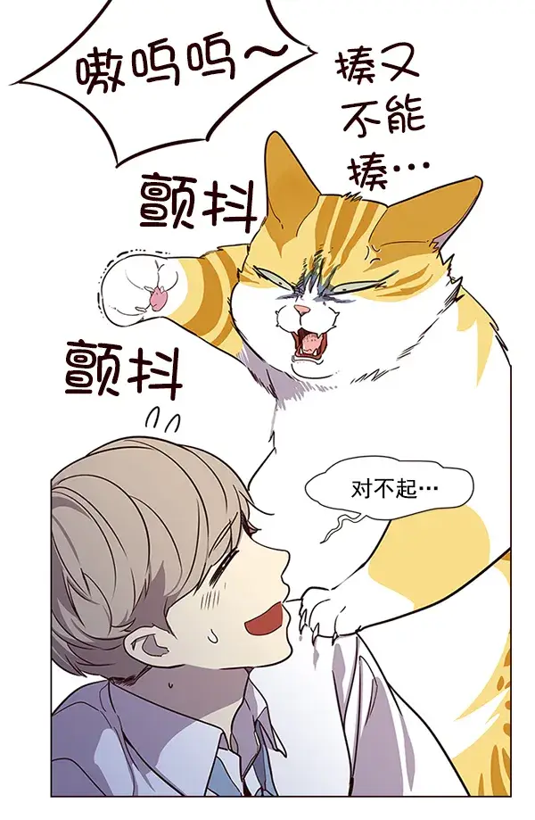 漫画《觉醒吧，铲屎官！》第10话第12张图