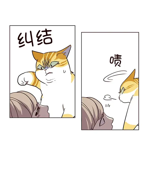 漫画《觉醒吧，铲屎官！》第10话第15张图
