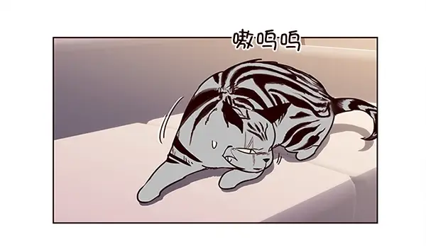 漫画《觉醒吧，铲屎官！》第10话第19张图