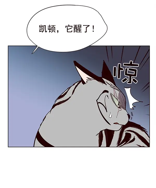 漫画《觉醒吧，铲屎官！》第10话第20张图