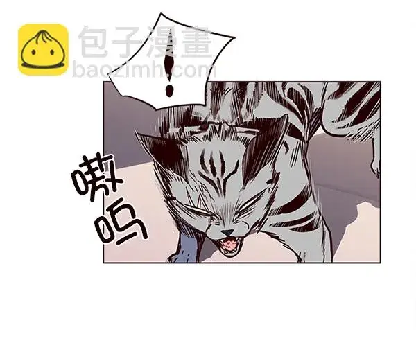 漫画《觉醒吧，铲屎官！》第10话第24张图