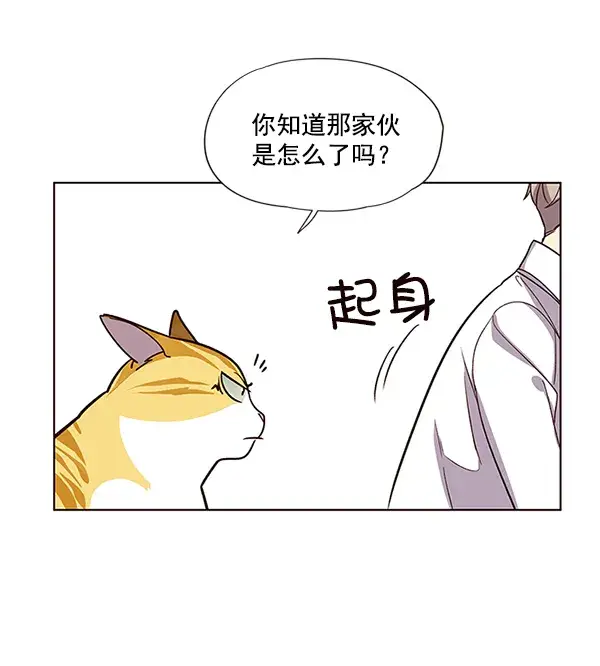 漫画《觉醒吧，铲屎官！》第10话第32张图