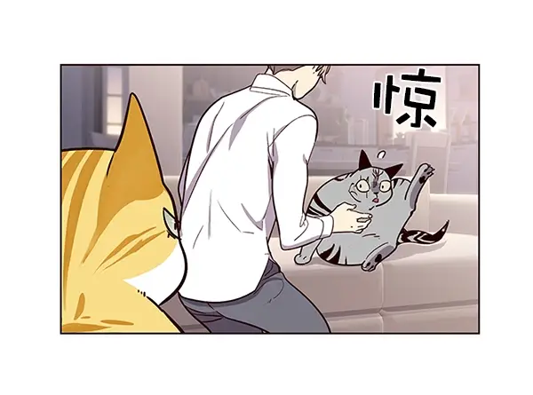 漫画《觉醒吧，铲屎官！》第10话第33张图