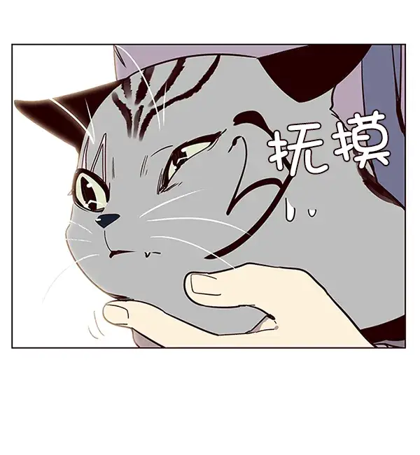 漫画《觉醒吧，铲屎官！》第10话第37张图