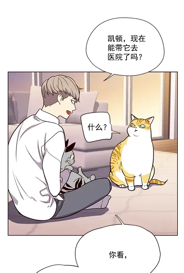 漫画《觉醒吧，铲屎官！》第10话第38张图