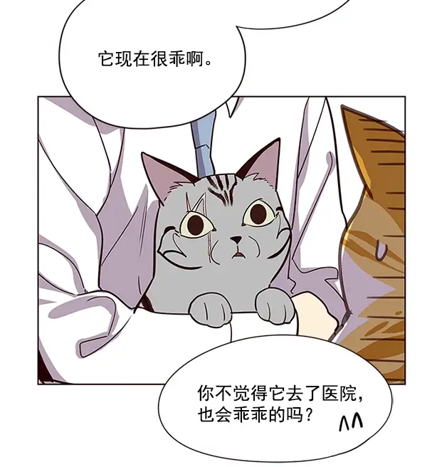 漫画《觉醒吧，铲屎官！》第10话第39张图