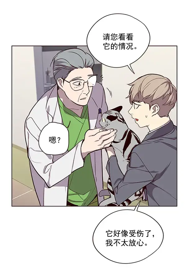 漫画《觉醒吧，铲屎官！》第10话第64张图