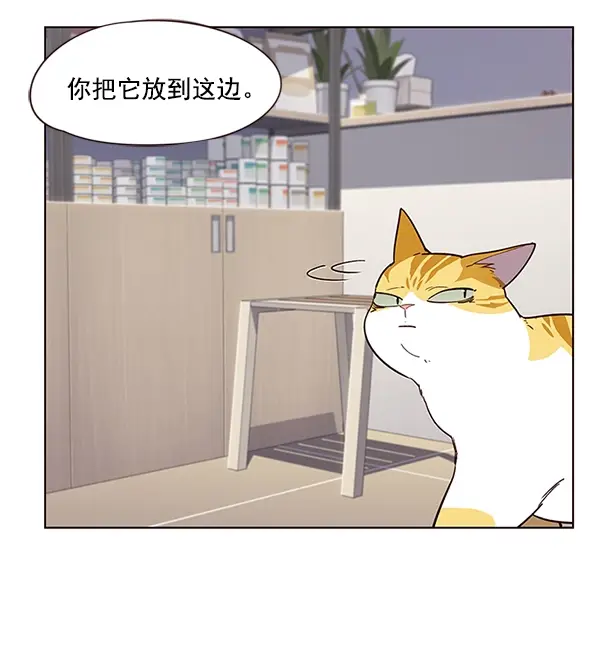 漫画《觉醒吧，铲屎官！》第10话第65张图