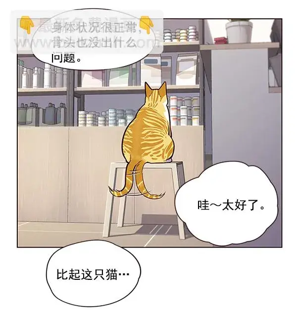 漫画《觉醒吧，铲屎官！》第10话第67张图