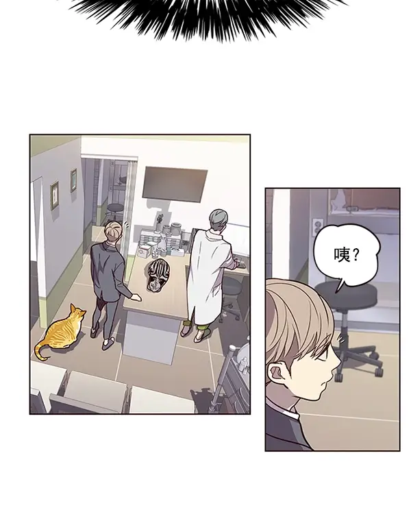 漫画《觉醒吧，铲屎官！》第10话第69张图