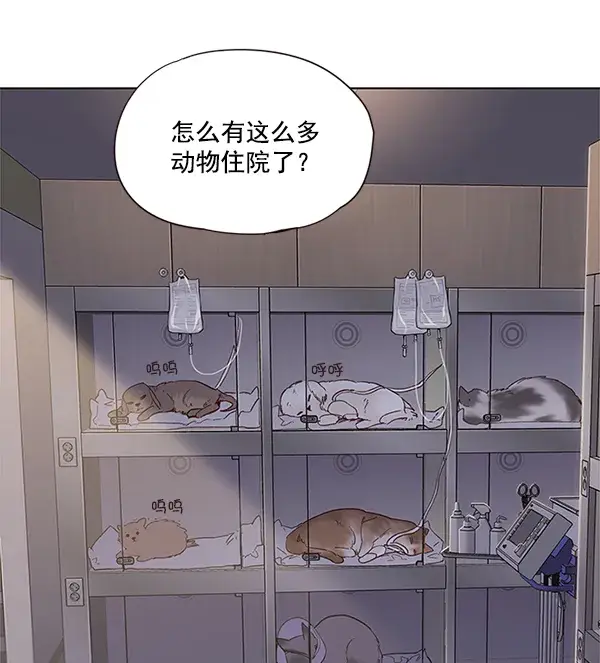 漫画《觉醒吧，铲屎官！》第10话第70张图
