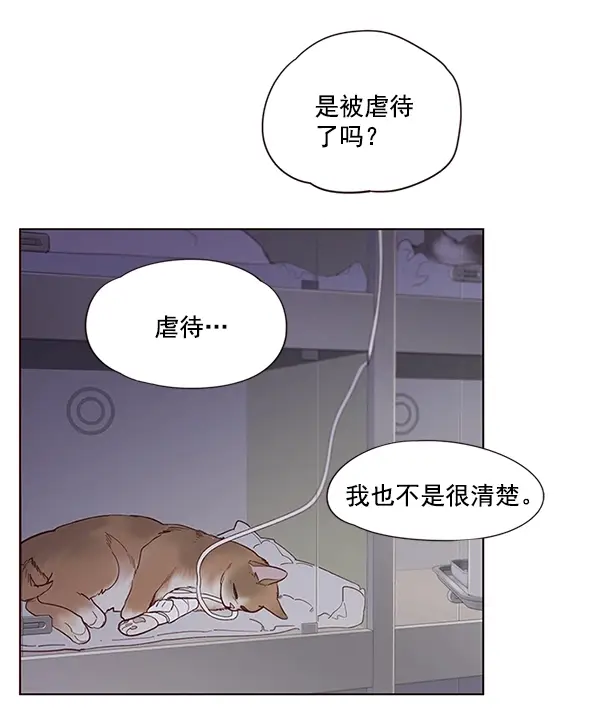 漫画《觉醒吧，铲屎官！》第10话第74张图