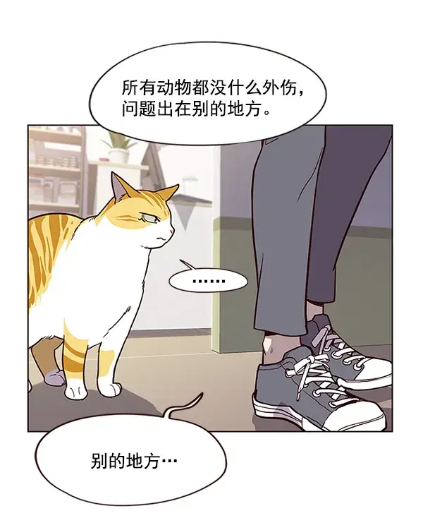 漫画《觉醒吧，铲屎官！》第10话第75张图