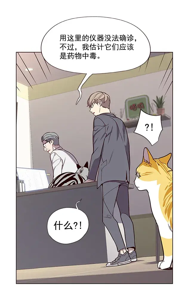 漫画《觉醒吧，铲屎官！》第10话第76张图