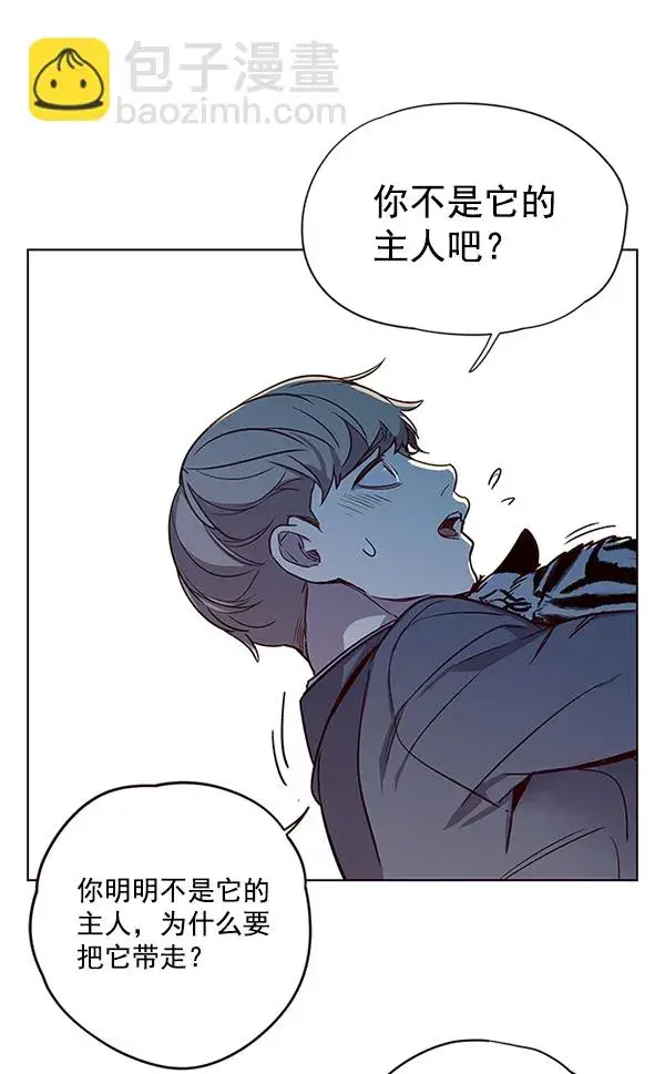 漫画《觉醒吧，铲屎官！》第11话第105张图