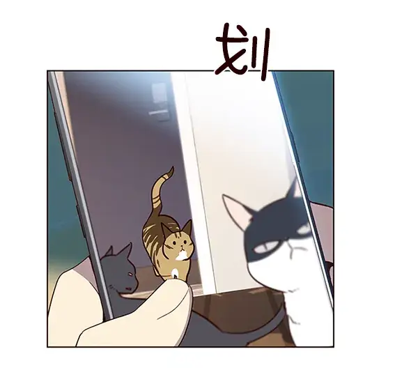 漫画《觉醒吧，铲屎官！》第11话第20张图
