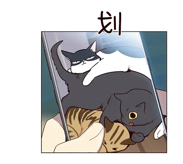 漫画《觉醒吧，铲屎官！》第11话第21张图