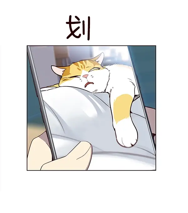 漫画《觉醒吧，铲屎官！》第11话第22张图