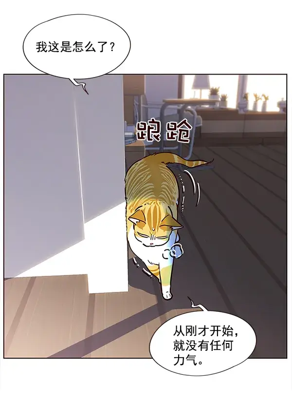 漫画《觉醒吧，铲屎官！》第11话第31张图